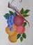 *** Fruit Still Life Mixed Media by Brushstrokes $1 RESERVE *** Carousel 5