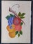 *** Fruit Still Life Mixed Media by Brushstrokes $1 RESERVE *** Carousel 2