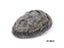 Men Toupee Indian Human Hair Wigs Thin Skin Human Remy Hair Wigs With Knots Carousel 1