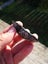 $1 reserve Pounamu greenstone carving slab MATARIKI MONTH Carousel 3