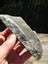 $1 reserve Pounamu Nelson chatoyant carving slab MATARIKI MONTH Carousel 2