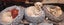 Puppies - Bichon x Shih Tzu Carousel 5