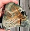 Serpentine diopside mix 1kg Nelson $1 RESERVE Carousel 1