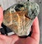 Serpentine diopside mix 1kg Nelson $1 RESERVE Carousel 11