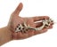 New Cabinet Drawer Handles Door Pulls Vintage Carousel 3