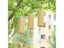 Miwayer Windbell Bamboo Chord Wind Chimes Windchime Chime Craft Outdoor Garden Carousel 8