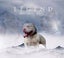 American Bullys Puppies Carousel 11