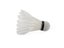 12pcs Pro Goose Feather Birdies Badminton Shuttlecocks Game Training High Speed Carousel 5