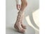 B2EB Women Stockings Breathable Leg Sleeves Bowknot Stockings For Little Girls Carousel 6