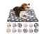 Flannel Pet Sleeping Mat Dog Bed Cat Litter Puppy Bed Dog Sofa Lovely Mattress Carousel 3