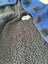 No Issue blue and black check jacket - size 16 Carousel 5