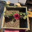Craft organiser Carousel 7