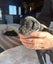Labradoodle puppies. Carousel 7