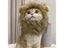 New Cute Funny Pets Clothes Cap Cute Cat Wig Lion Mane Costume Cosplay Kitten Carousel 4