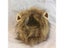 New Cute Funny Pets Clothes Cap Cute Cat Wig Lion Mane Costume Cosplay Kitten Carousel 1