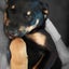 Auckland Puppy Rescue - PLUTO ( female) Carousel 3