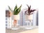 Mini Hydroponic Flower Pot Home Vase Decor Transparent Imitation Glass Soilless Carousel 1