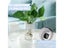 Mini Hydroponic Flower Pot Home Vase Decor Transparent Imitation Glass Soilless Carousel 5