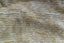 2 Pieces of Gold Furnishing Fabric Carousel 2