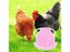 1PC Hen Apron Elastic Chicken Saddle Feather Protector Adjustable Pet Clothes Carousel 4