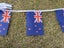 New 5m New Zealand String Flag Pennant Banner Carousel 6