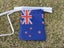 New 5m New Zealand String Flag Pennant Banner Carousel 7