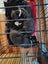 Baloo - Chance 4 Change Carousel 4
