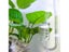 CO2 Diffuser Aquarium Glass Spiral Atomizer With Suction Cup For Planted Fish Carousel 5