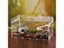 Reptile Breeding Box Acrylic For Spider Lizard Scorpion Enti's Assembled Carousel 6