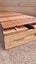 Tukituki Instruments | 12 note Xylophone. Made in NZ Carousel 6