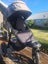 Baby Jogger Carousel 7