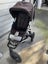 Mountain Buggy Urban Jungle Carousel 1