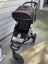 Mountain Buggy Urban Jungle Carousel 2