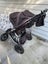 Mountain Buggy Urban Jungle Carousel 3