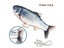 Pet Cat Dog Soft Plush USB Charging Fish Interactive Pet Chewing Toy Carousel 3