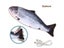 Pet Cat Dog Soft Plush USB Charging Fish Interactive Pet Chewing Toy Carousel 1