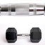 Premium Hex Dumbbells Silver Handle 2KG (Sold in pairs) Carousel 1