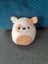 $1 Reserve Brock the Bulldog 8" Squishmallow Carousel 1