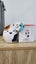 Mcdonalds Happy Meal Squishmallows Cam the Cat Carousel 2