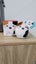 Mcdonalds Happy Meal Squishmallows Cam the Cat Carousel 1