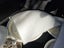 House Ceiling Lights Carousel 4
