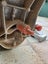 Black & Decker Mitre Saw - $1 Reserve! Carousel 5