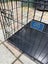 PetKiwi Dog Crate & Cover - $1 Reserve! Carousel 4