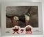 Isle of Dogs action figures - full set Carousel 6