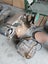 Saw Bench, Planer, Band Saw and Sander Carousel 6