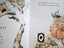 Alice in Wonderland, Lost in a Maze Book Lot Carousel 8