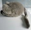 Large Steiff mouse Carousel 3