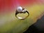 Vintage Pearl/Diamond Ring Carousel 6
