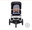 Mountain buggy Urban Jungle set Carousel 10