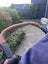 Mountain buggy Urban Jungle set Carousel 8
